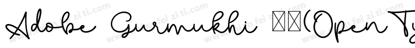 Adobe Gurmukhi 粗体(OpenType  PostScr字体转换